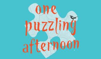 One Puzzling Afternoon by Emily Critchley